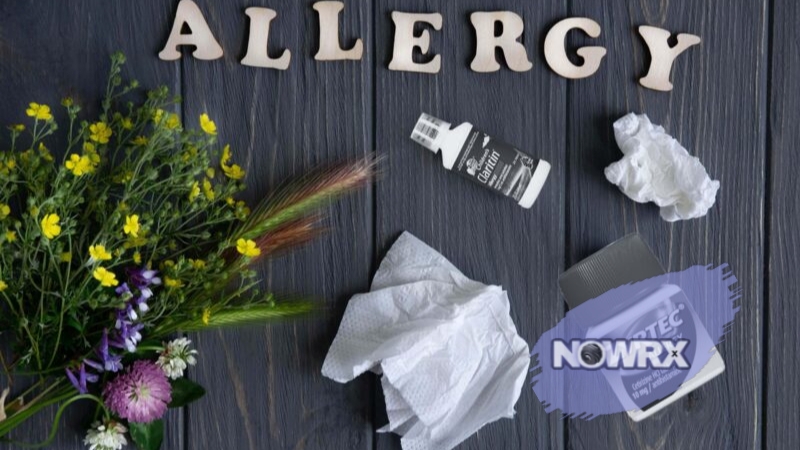 Comparison of Allergy medications Zyrtec vs Claritin